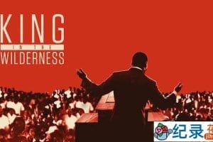 HBO传奇人物纪录片《荒野中的国王 King In The Wilderness》全1集 720P/1080i高清纪录片资源百度云盘下载