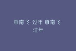 雁南飞·过年 雁南飞·过年
