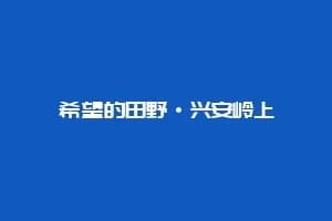 希望的田野·兴安岭上