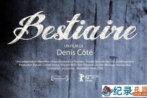动物保护纪录片《静观百兽 Bestiaire》全1集 720P/1080i高清纪录片资源百度云盘下载
