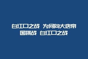 白江口之战 为何向大唐帝国挑战 白江口之战
