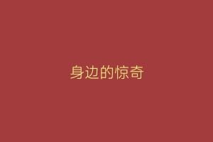 身边的惊奇