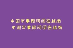 中国军事顾问团在越南 中国军事顾问团在越南