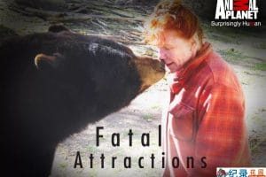 宠物袭击人类事件纪录片《致命宠物 Fatal Attractions》第1季全13集中字 纪录片解说素材百度云盘下载 1080/MP4/28.1G