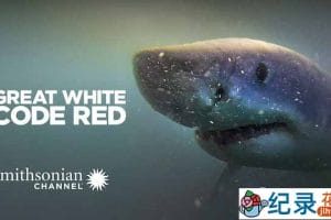 海洋生物纪录片《大白鲨感官探秘 Great White Code Red》全1集中字 TS/蓝光高清纪录片资源百度云盘下载