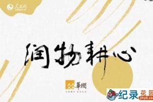 商业经营纪录片《润物耕心》全8集中字 720P纪录片资源百度云盘下载