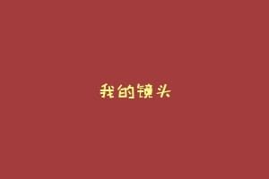 我的镜头