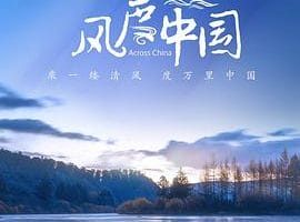 风度中国