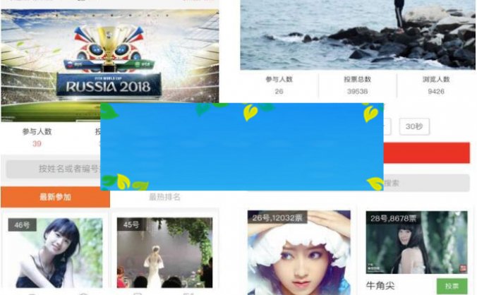 功能模块 投票活动V9.1.3_源码下载
