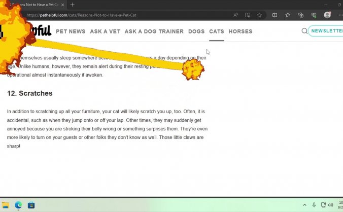 桌面宠物|官方中文|Desktop Pet Project