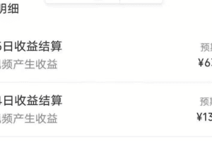 我这朋友傻瓜式搬运视频号，1天30分钟收益1373.13？