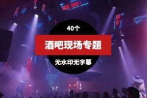 酒吧现场蹦迪DJ视频素材40个
